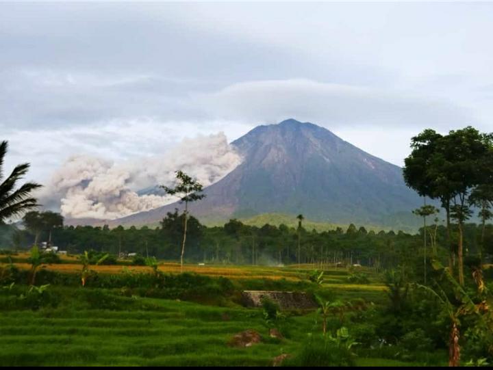 Semeru Terpantau Kembali Muntahkan Awan Panas