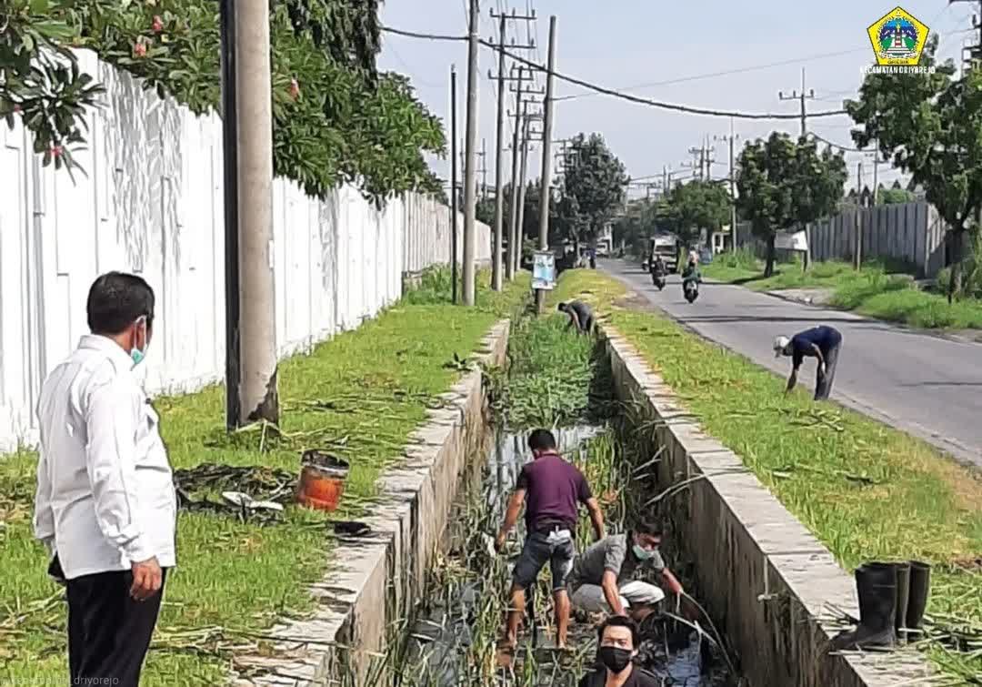 Antisipasi Banjir, Camat Driyorejo Pimpin Pengerjaan Normalisasi Saluran Air di Sumput