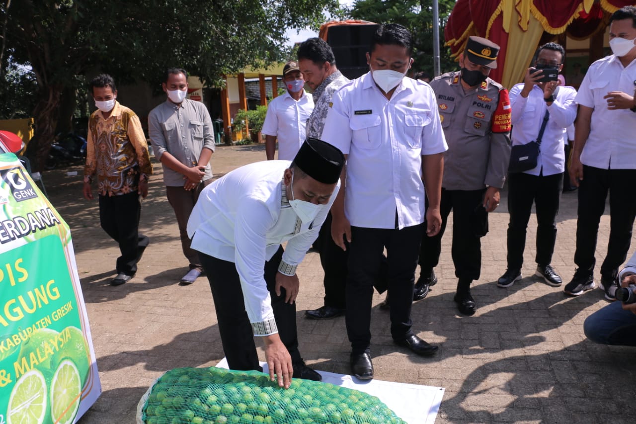 UMKM Jeruk Nipis Asal Kebonagung Gresik Tembus ke Negara Malaysia dan Singapore