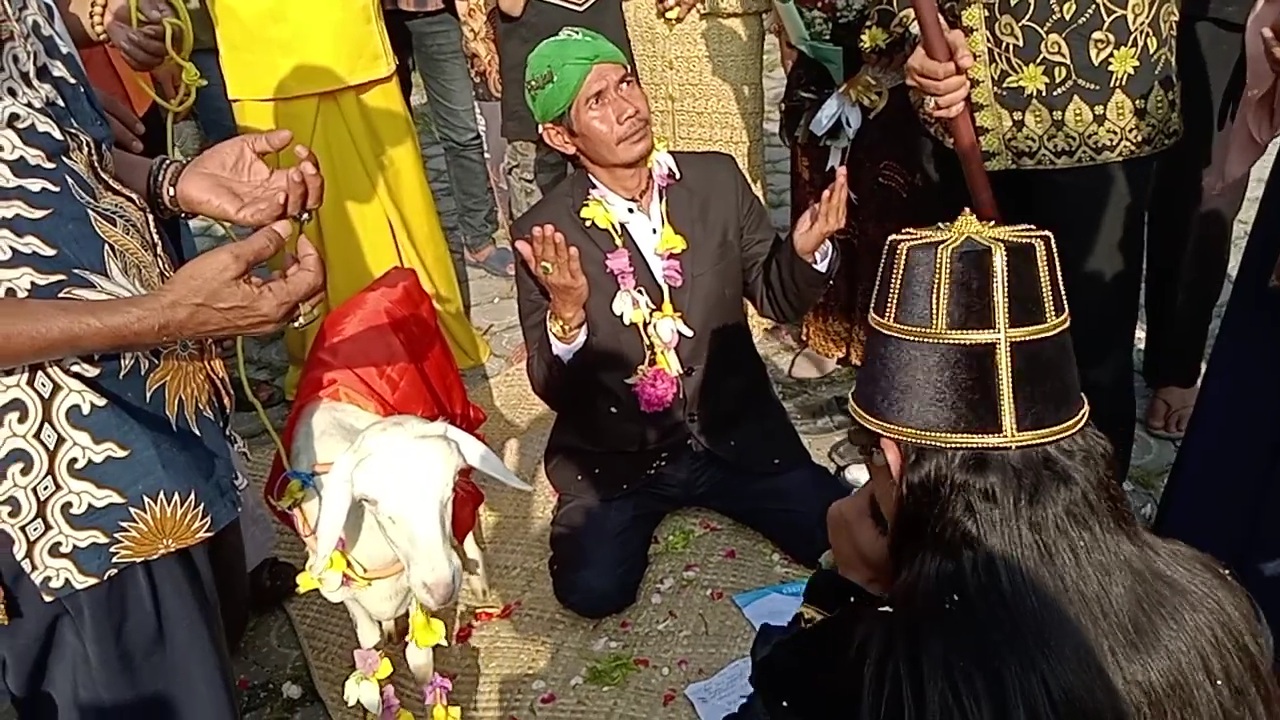 Viral Ritual Manusia Menikah Dengan Kambing di Gresik