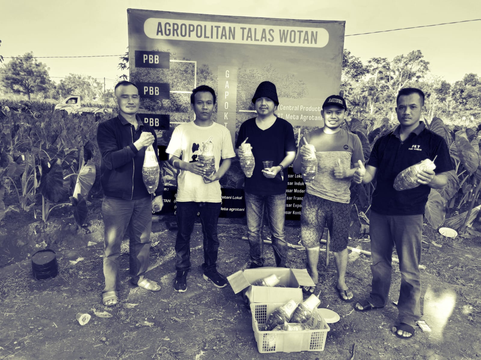 Pemuda Panceng Gresik Launching Agropolitan Talas Wotan