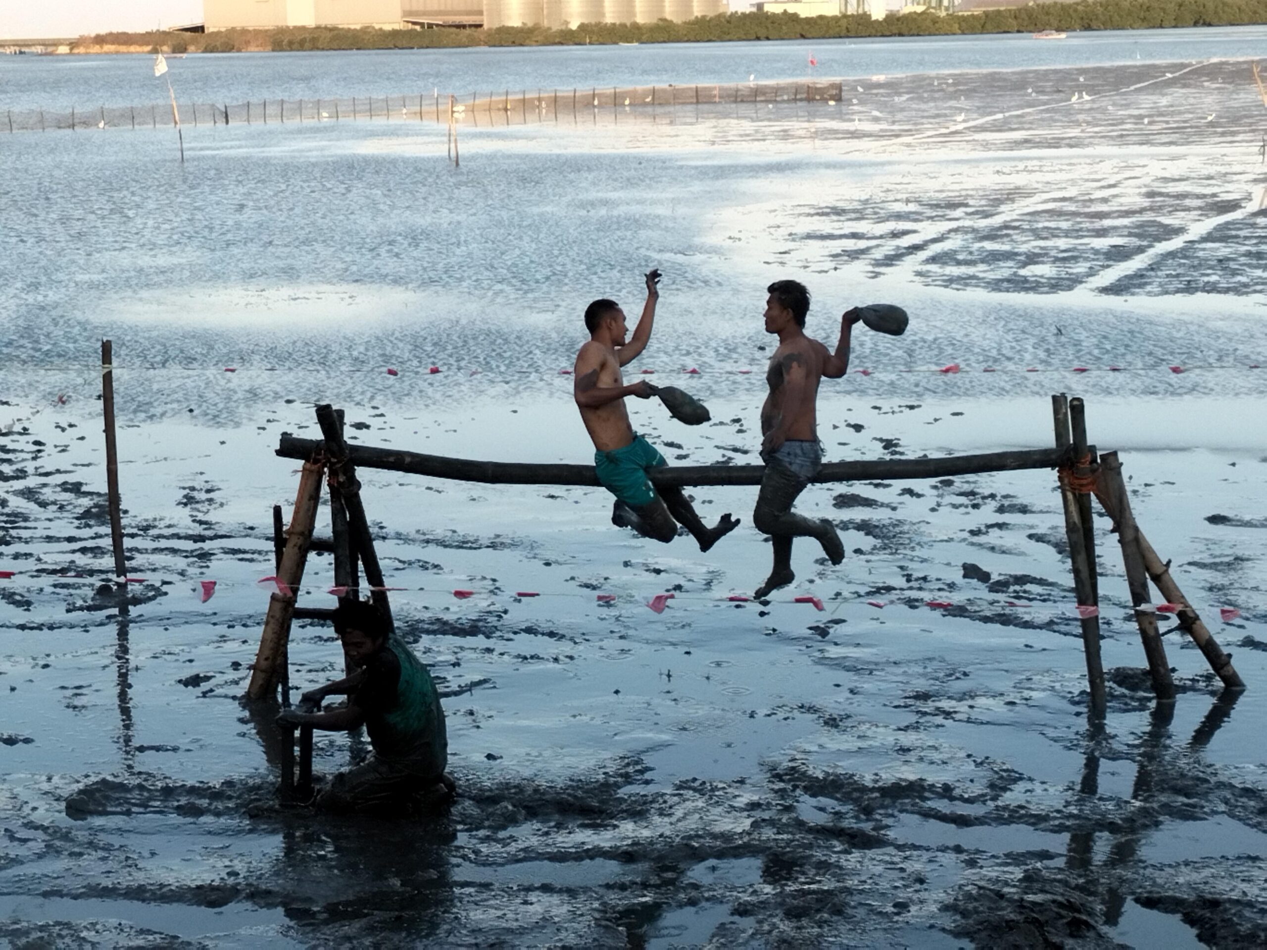 Semarak Perayaan HUT ke 77 RI, Lomba Gebuk Bantal di Pantai Karangkering