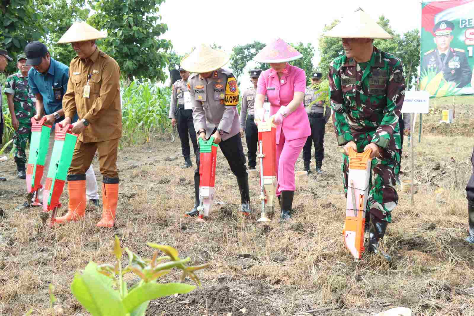 Komitmen Dukung Swasembada Pangan, Polres Gresik Tanam Jagung di Panceng