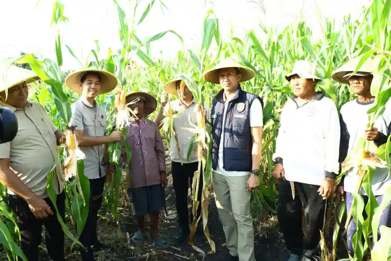 Polres Gresik Perkuat Ketahanan Pangan, Laksanakan Penanaman Jagung di Kebomas